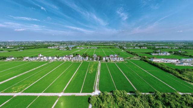 手机种田在金山成为现实！未来还将打造“无人农场”休闲区蓝鸢梦想 - Www.slyday.coM