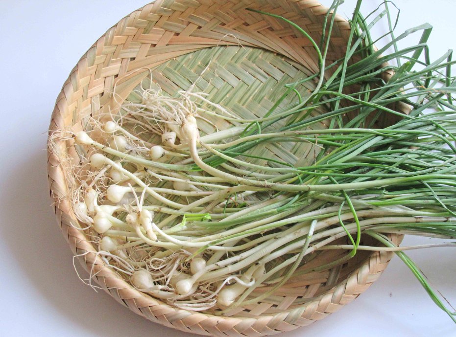 老公用野草,做成馅饼太香了能吃6块,以前没吃亏大了|老公|盖上|味道_