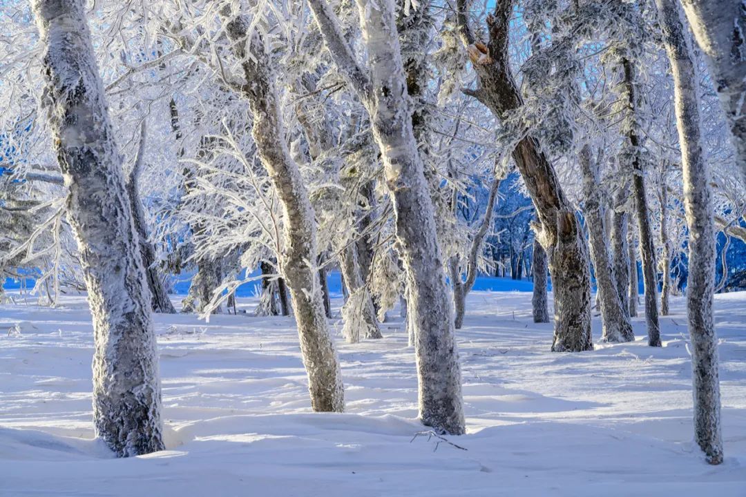 12月15日22日去东北拍摄最美雾淞和雪景