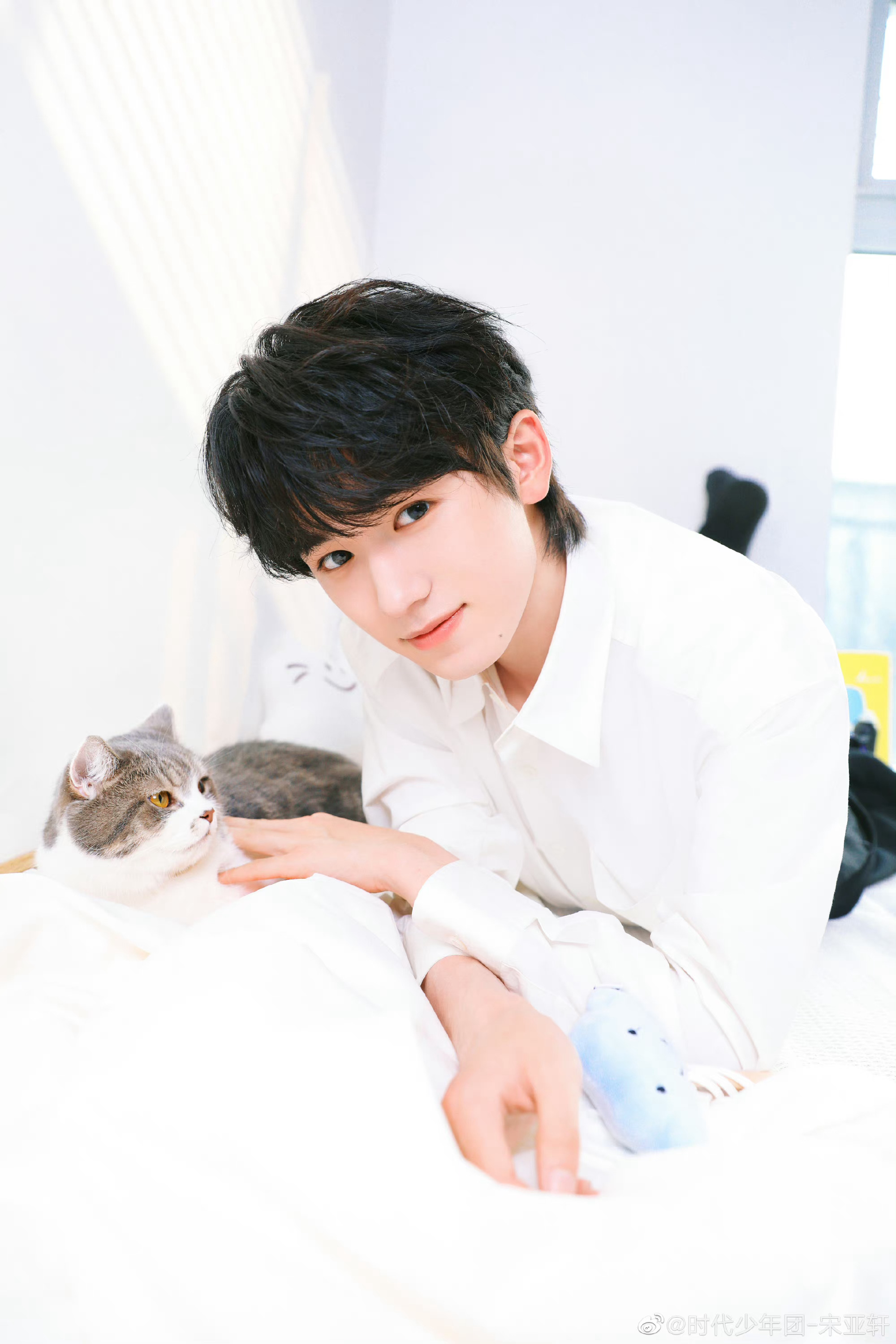 宋亚轩撸猫九宫格来了!