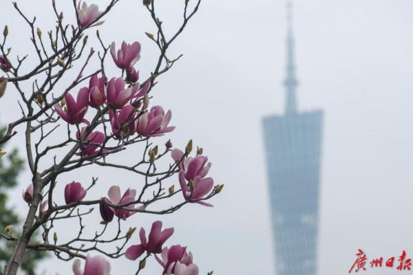 明天暖和后天骤冷，除夕将出现降温过程最低温休闲区蓝鸢梦想 - Www.slyday.coM