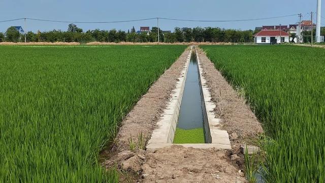 手机种田在金山成为现实！未来还将打造“无人农场”休闲区蓝鸢梦想 - Www.slyday.coM