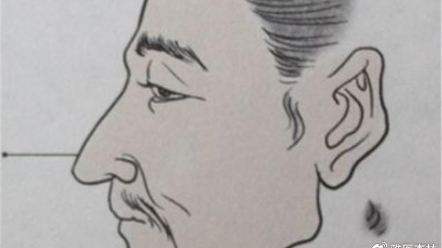 “鹰鼻鹞眼不可交,矬子杀人不用刀”,老祖宗的识人之术|容貌|老鹰|内心|鼻子|特征_新浪新闻