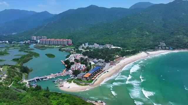 与"毛孩子"一起撒欢,南澳东涌举办深圳首个沙滩景