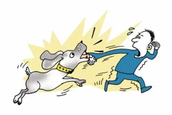 好心投喂了一个月的流浪狗意外咬伤他人，男子被邻居告上法庭！休闲区蓝鸢梦想 - Www.slyday.coM