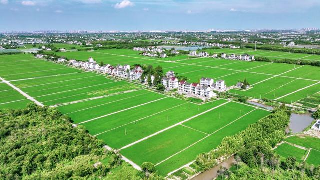 手机种田在金山成为现实！未来还将打造“无人农场”休闲区蓝鸢梦想 - Www.slyday.coM