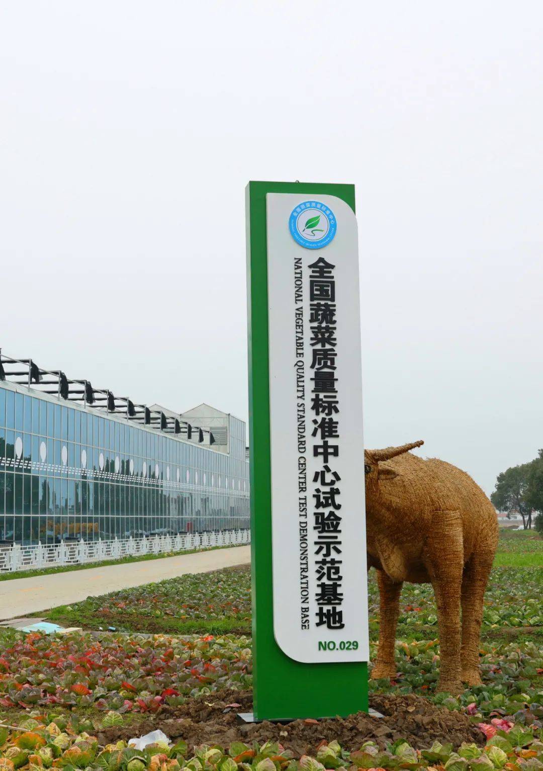 基地直供金山这家店正式营业