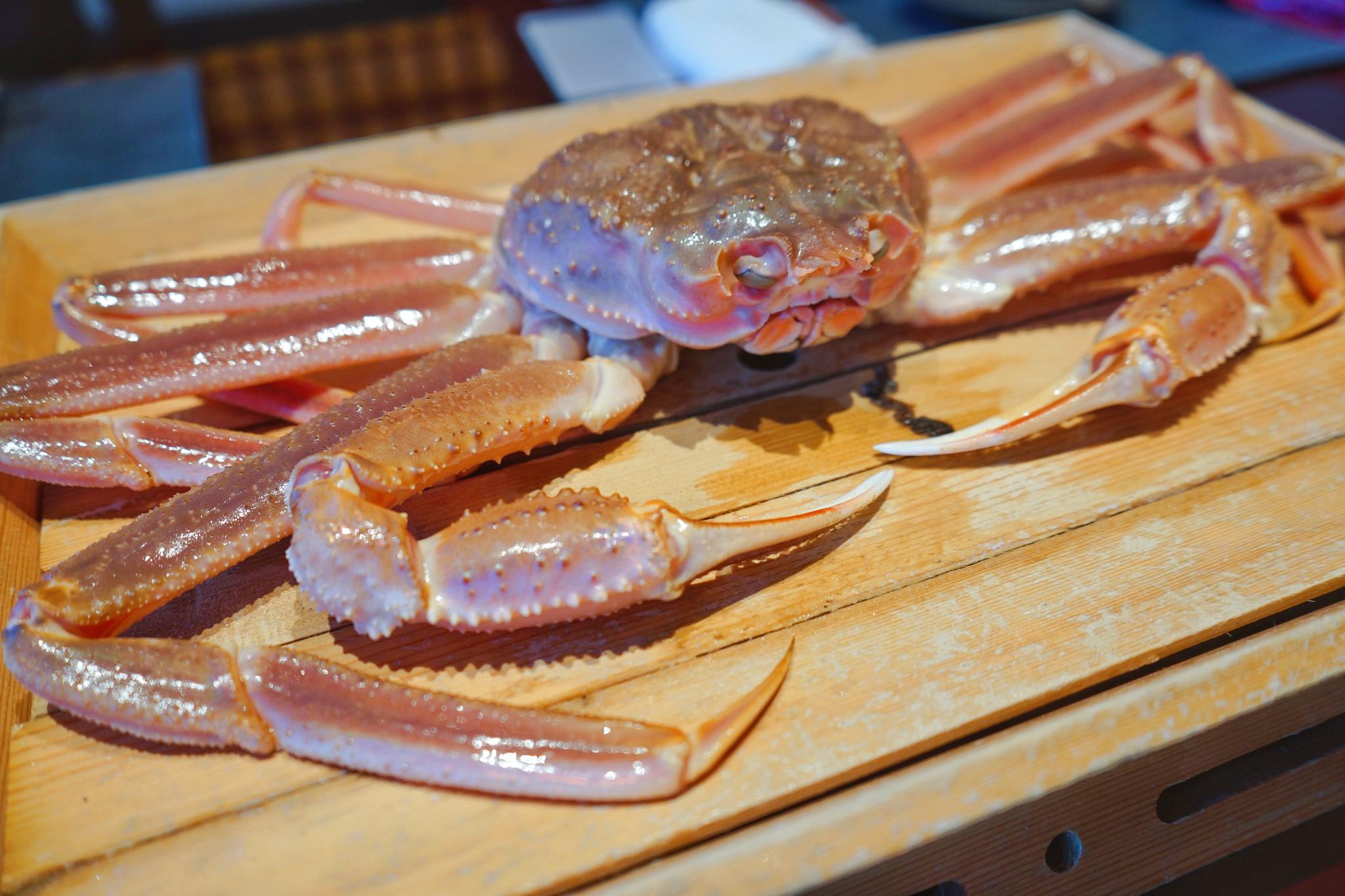 今天来粋蟹品尝松叶蟹松叶蟹是日本人眼中的蟹中之王