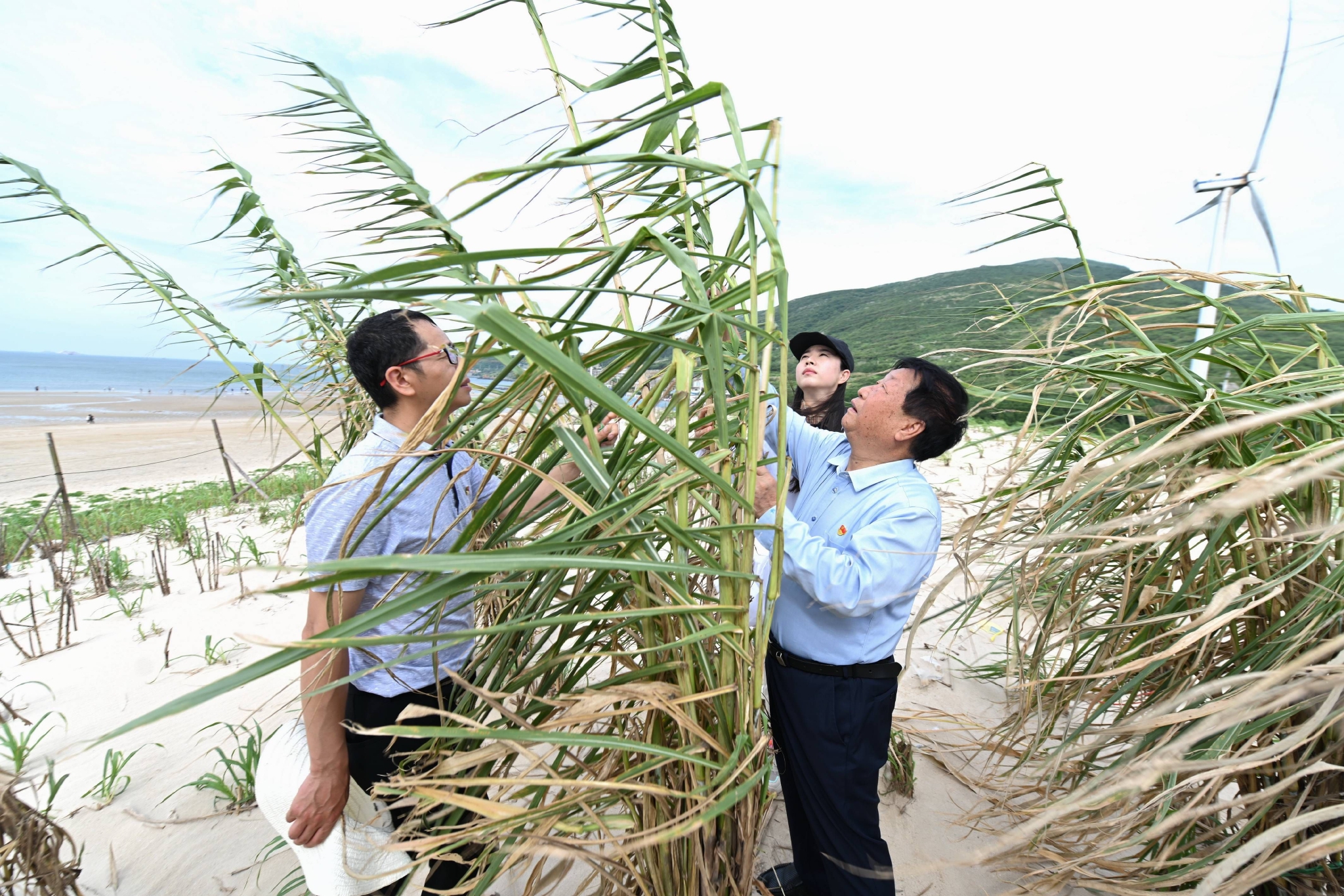 福建举行菌草科学技术成果发布会