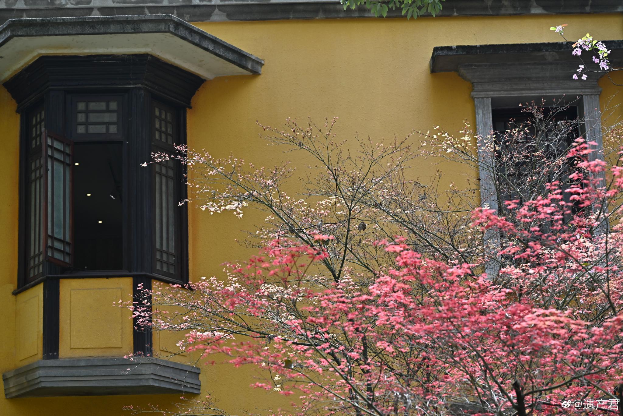 云南昆明，民国建筑卢汉公馆的春天__财经头条