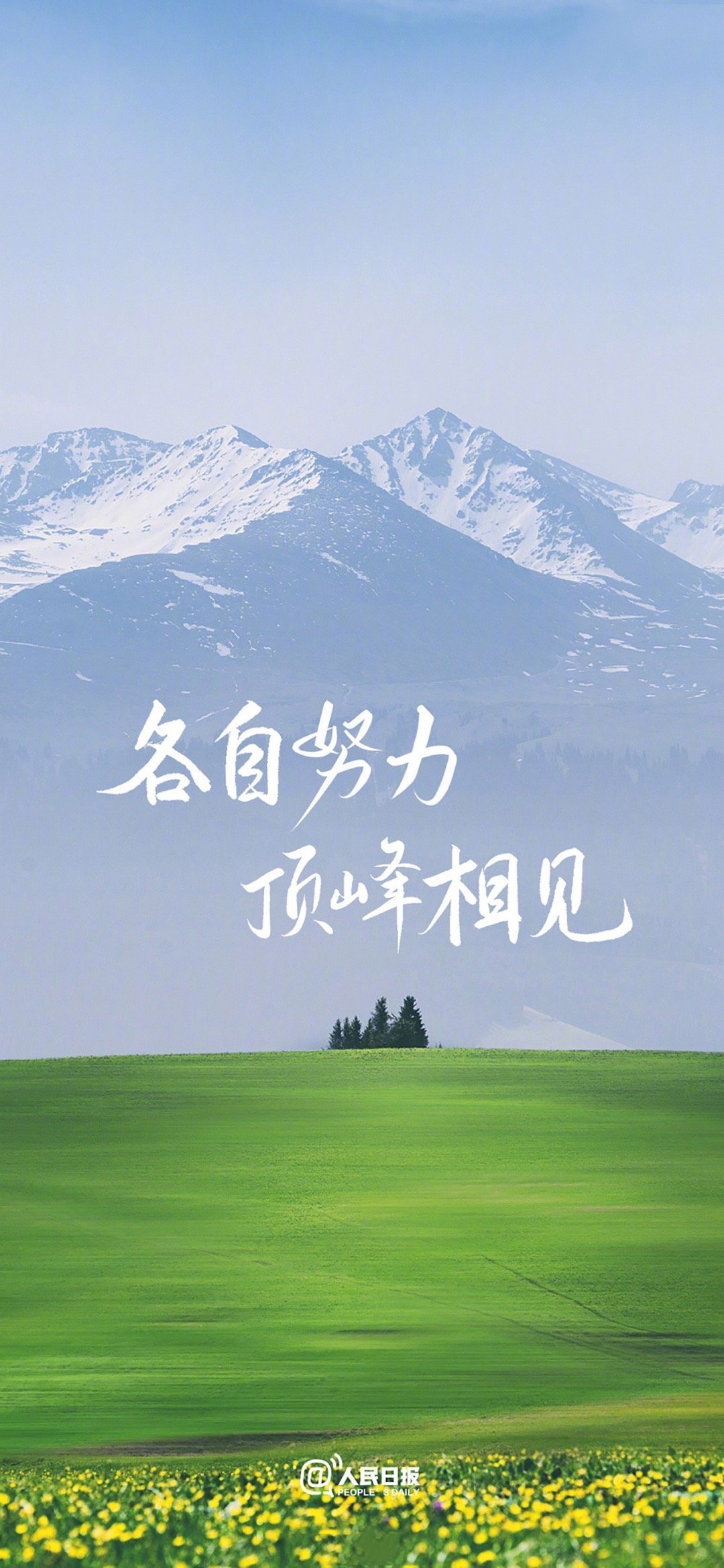心心念念很久的锁屏壁纸又增加啦!