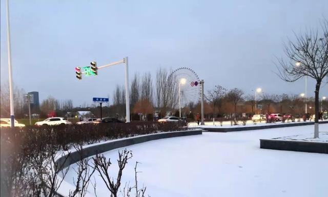 添了几分惬意和温柔为周末的时光轻轻飘落的雪花武威下雪了!