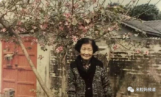 她是与冰心齐名的民国大才女,94岁还能写自传却参不透爱情,孤独终老休闲区蓝鸢梦想 - Www.slyday.coM 她是与冰心齐名的民国大才女,94岁还能写自传却参不透爱情,孤独终老休闲区蓝鸢梦想 - Www.slyday.coM