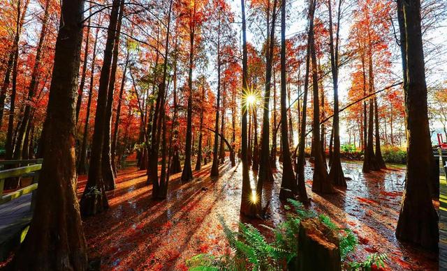 肇庆绝美“冬装”惊艳上线！错过了，就得再等一年……休闲区蓝鸢梦想 - Www.slyday.coM