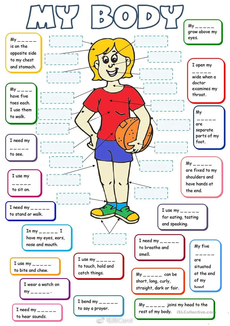 滋养身体乳护肤