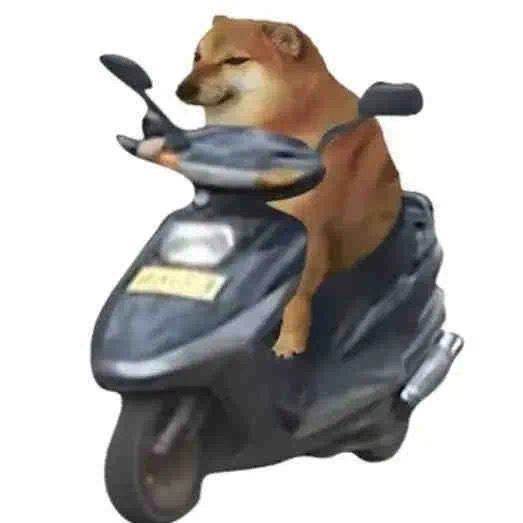 柴犬我创死你表情包_高清图集_新浪网