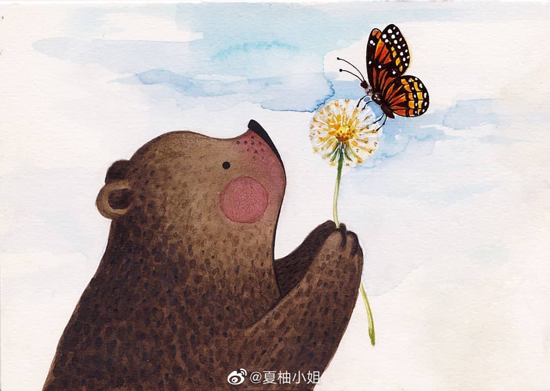 温暖治愈的小熊插画～:min