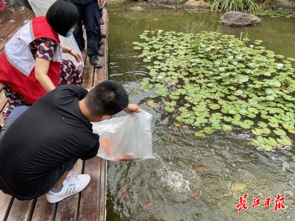 小区里的“彩灯游园会”、家门口的庙会……武汉这些小区过中秋“花样百出”休闲区蓝鸢梦想 - Www.slyday.coM