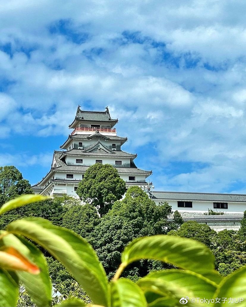 唐津城-唐津城地处位于肥前国唐津平野的松浦川河