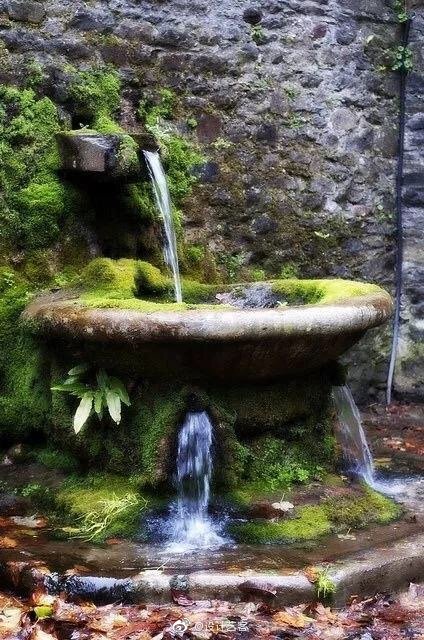 上善若水,利万物而不争 ._高清图集_新浪网