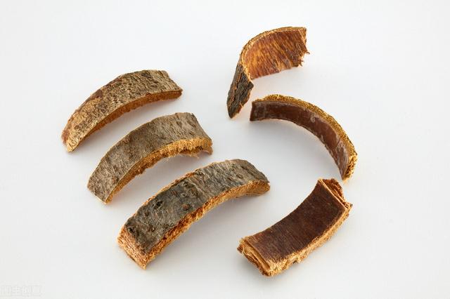 用耳朵学中药│秦皮|秦皮|白蜡树|大肠_新浪新闻