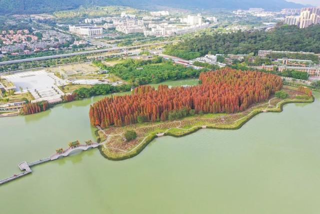 肇庆绝美“冬装”惊艳上线！错过了，就得再等一年……休闲区蓝鸢梦想 - Www.slyday.coM