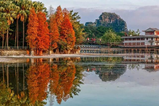 肇庆绝美“冬装”惊艳上线！错过了，就得再等一年……休闲区蓝鸢梦想 - Www.slyday.coM