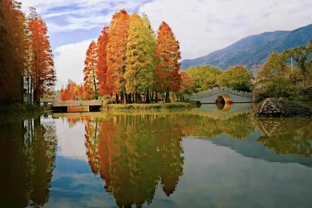 肇庆绝美“冬装”惊艳上线！错过了，就得再等一年……休闲区蓝鸢梦想 - Www.slyday.coM