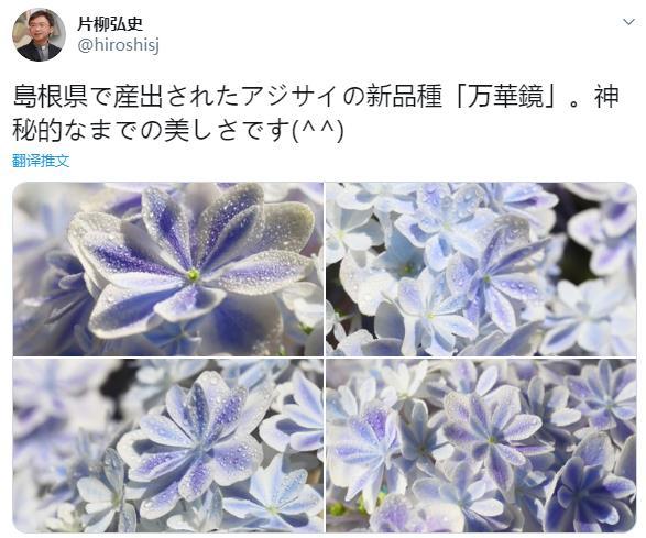 万花筒 万花筒
