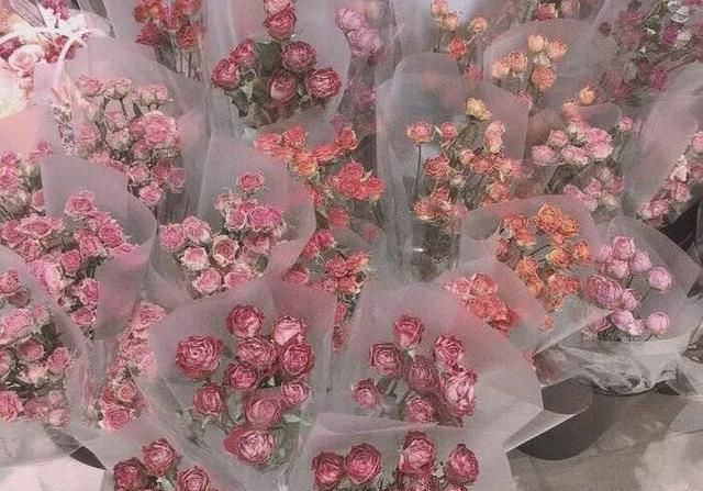 擅长降低存在感的巨蟹座,在生活中的底气到底是什么?休闲区蓝鸢梦想 - Www.slyday.coM