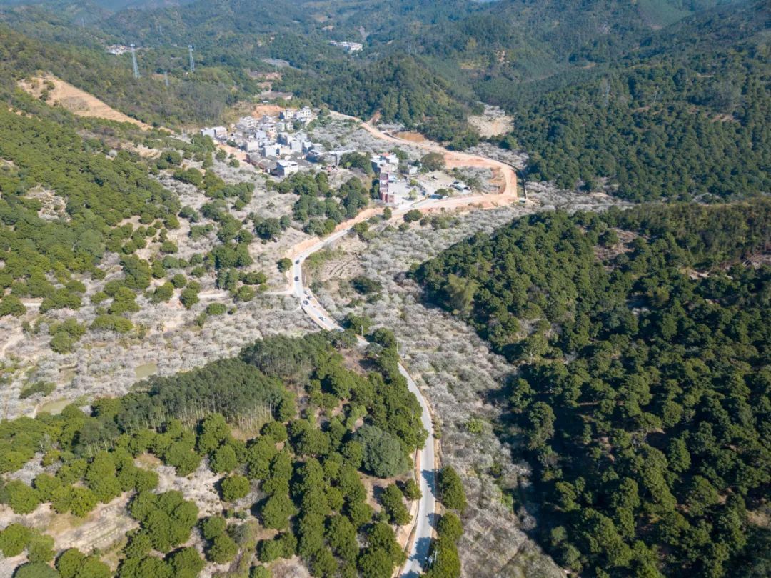 广东省潮州市饶平县东 山饶平东山镇能赏梅的村落非常多,东