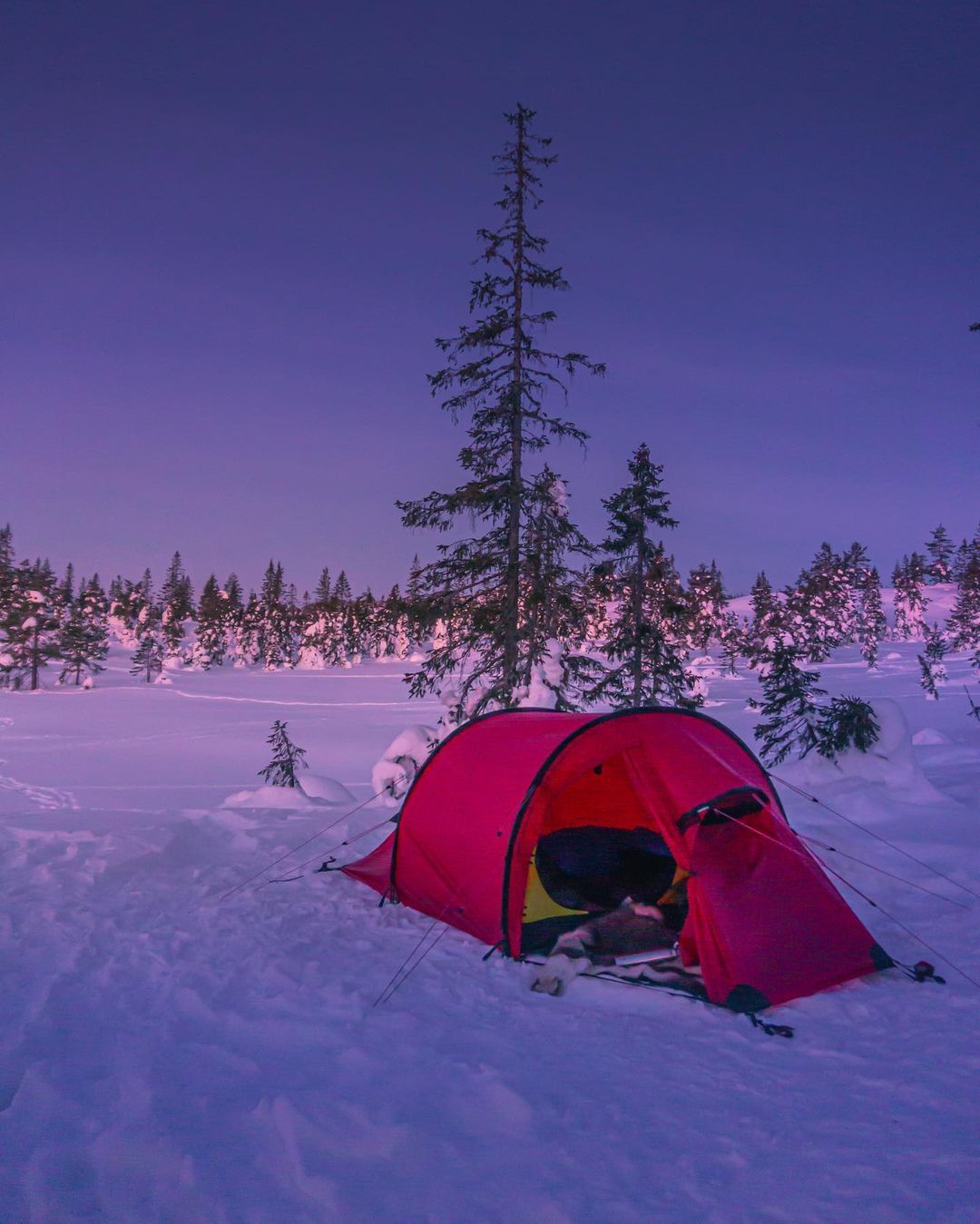 到自然里安营扎寨 7215 photo by norbert weider__财经头条