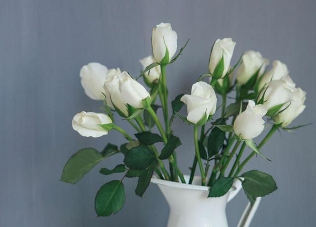 擅长降低存在感的巨蟹座,在生活中的底气到底是什么?休闲区蓝鸢梦想 - Www.slyday.coM