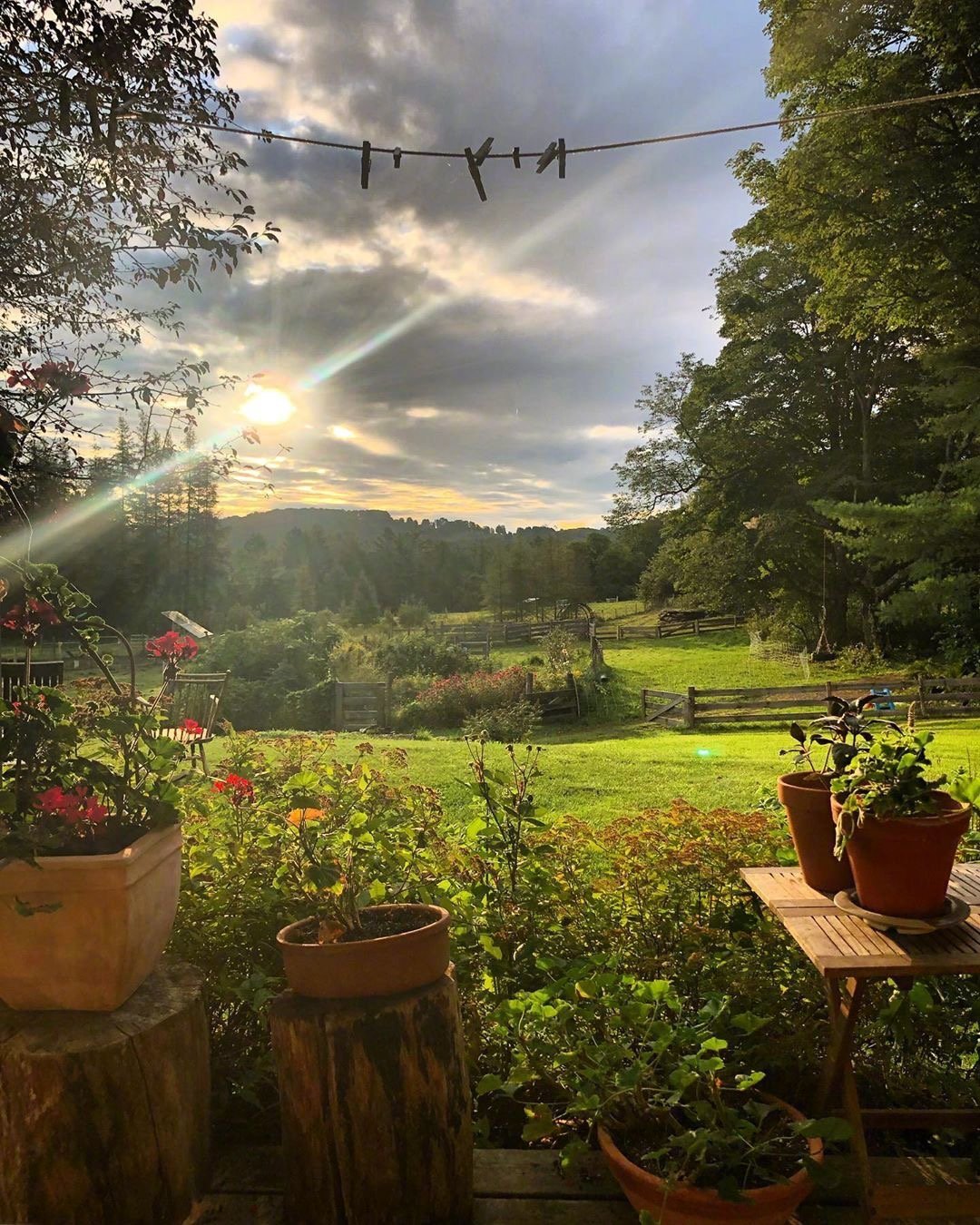 向往的田园生活