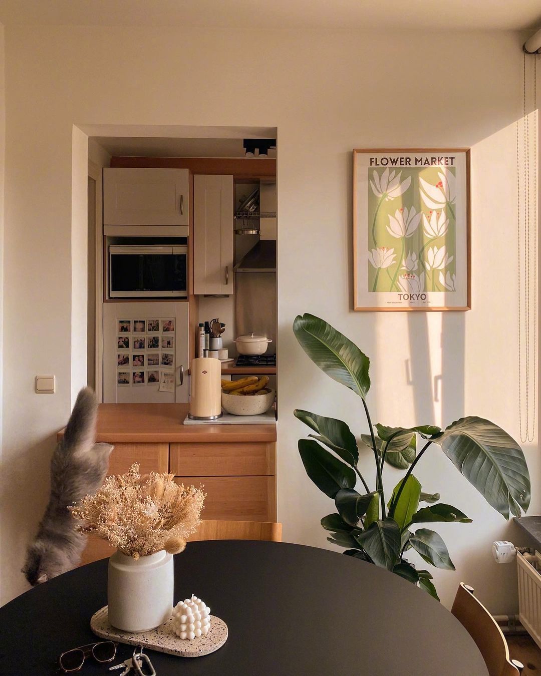 家里的阳光一角