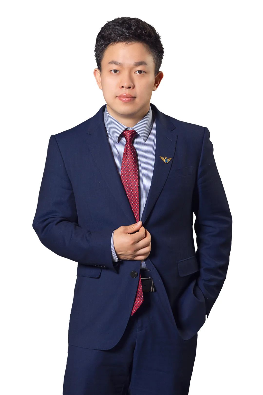 白酒医药新能源还能上车吗21世纪金牌分析师2021配置攻略