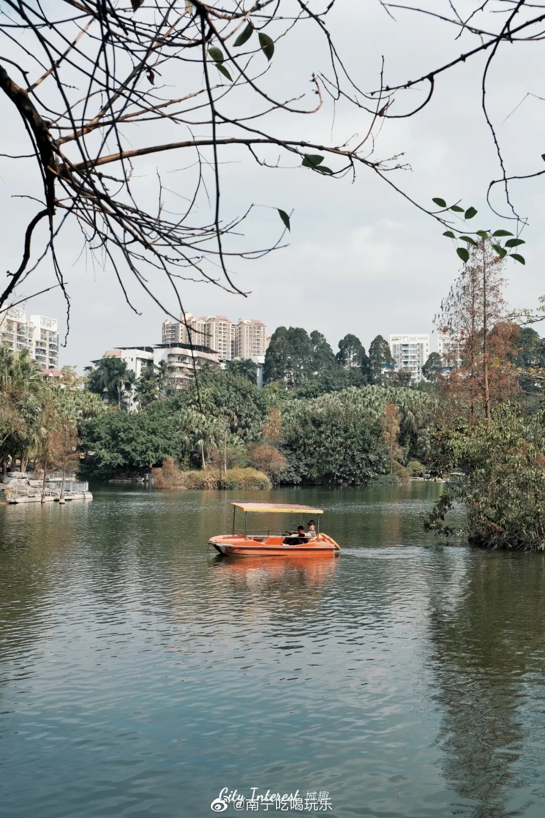 公园鉴赏——新秀公园