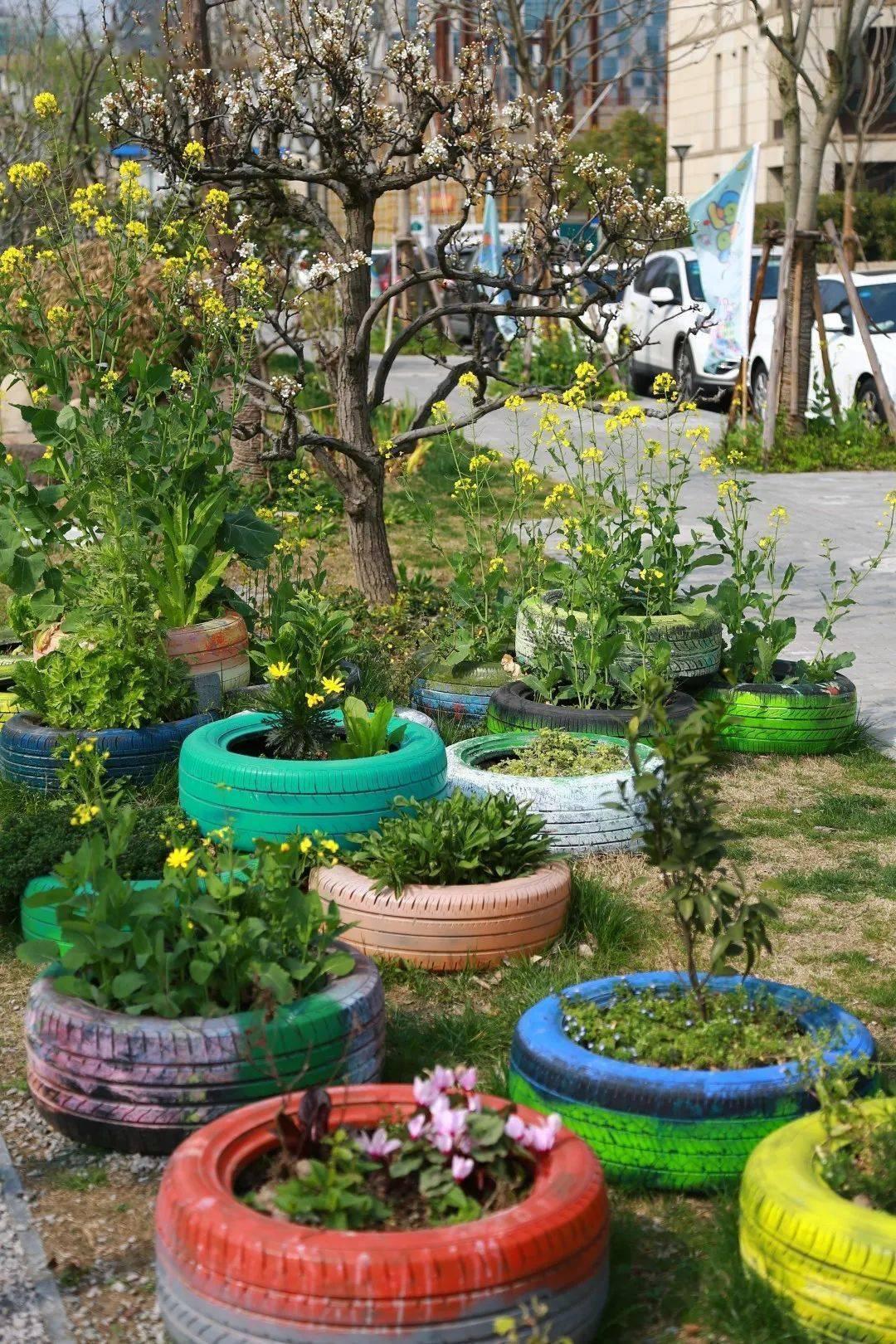 创智农园入驻社区睦邻中心后,就按照"农园是你的我的,一起变成我们的"