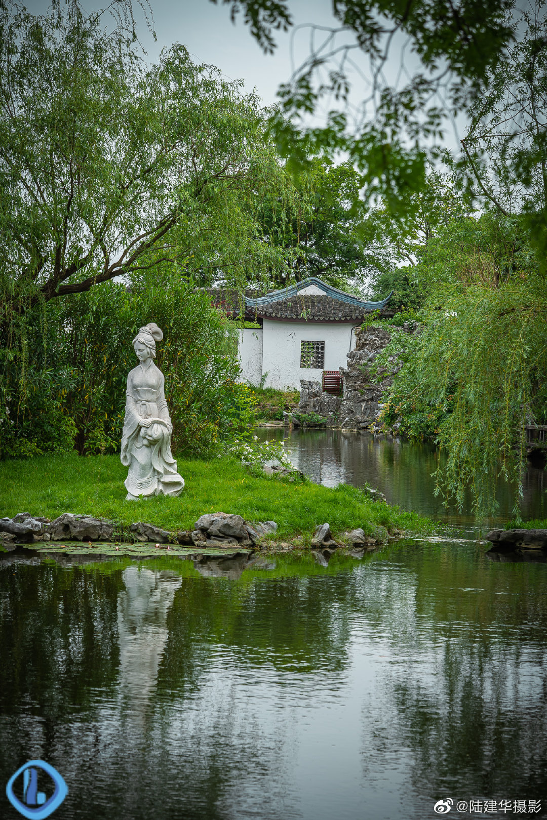 初夏无锡蠡园青色的草地青色的树木充满着生机