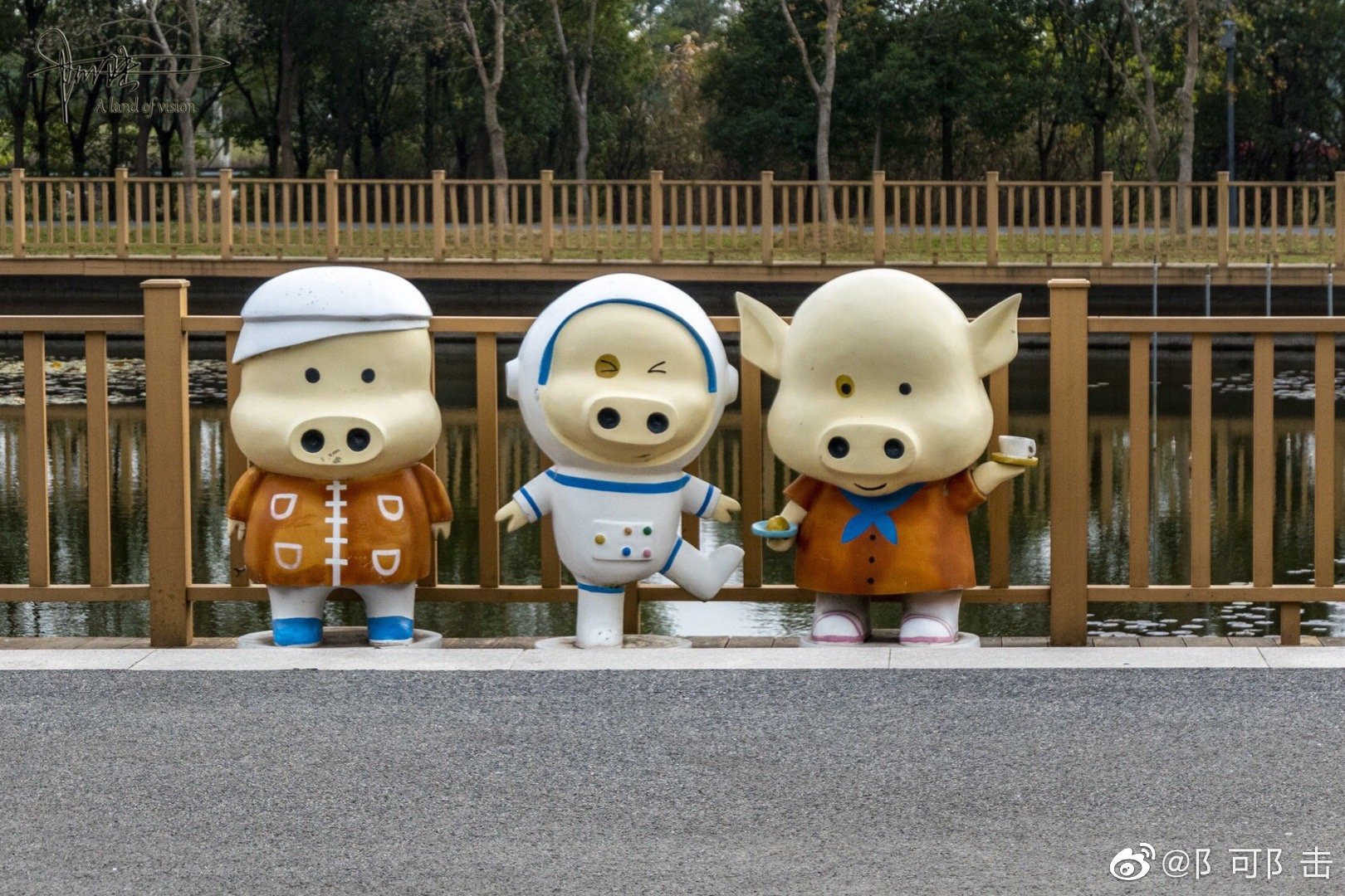 这个猪猪星球我也是第一次来之前在网上看到过一些相关的爆红视频