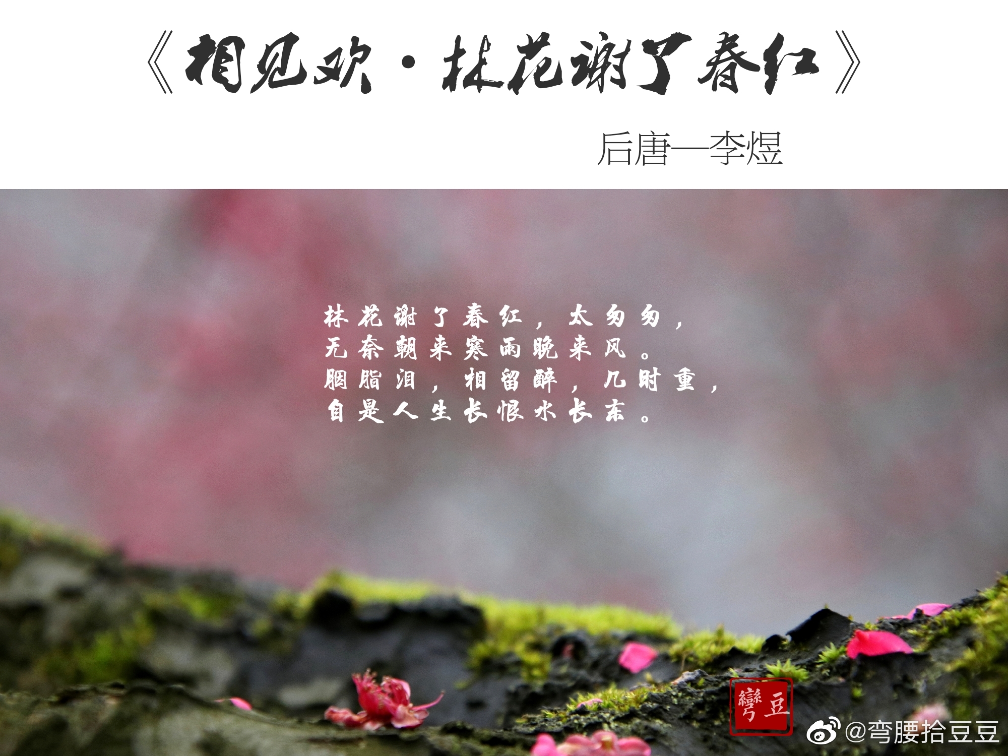 浅析李煜的相见欢林花谢了春红