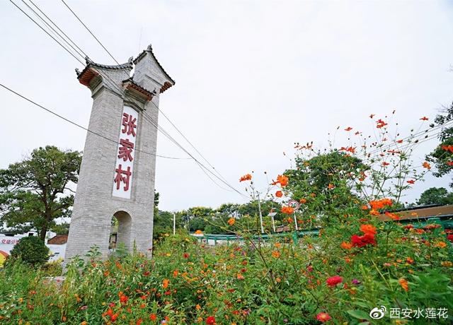 活动首站,好网民和媒体代表走进张卜街道张家村,感受人居环境整治带来