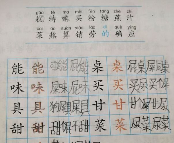 这个小学生写的是课后,用字组词的作业,不管是是"能","味","具",还是"