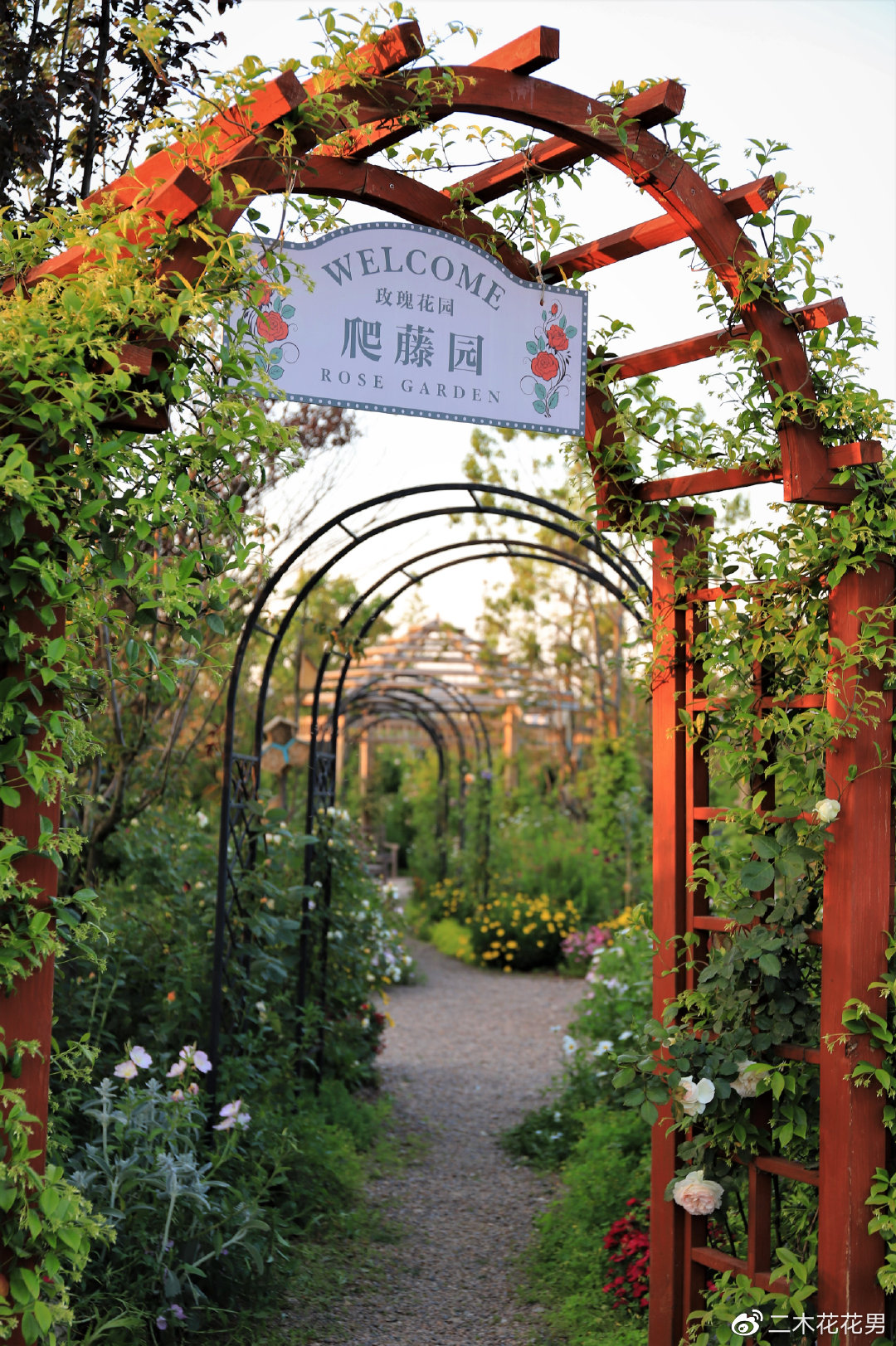 星球花园5.1正式开园!