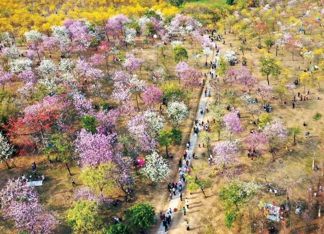 转发有礼！松山湖2022张新春大额消费券等你拿休闲区蓝鸢梦想 - Www.slyday.coM