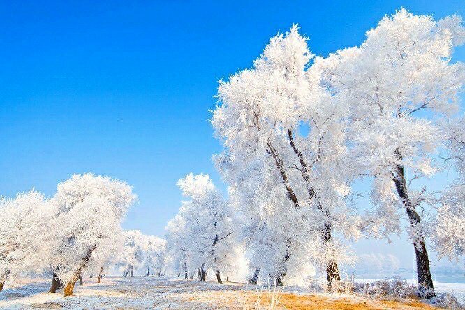 雪凇把哈尔滨变成了雪国__财经头条