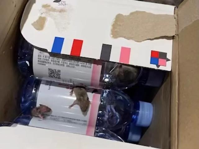 收到天猫超市包裹发现黑东西，女子用手抓了一下，是2只活老鼠休闲区蓝鸢梦想 - Www.slyday.coM