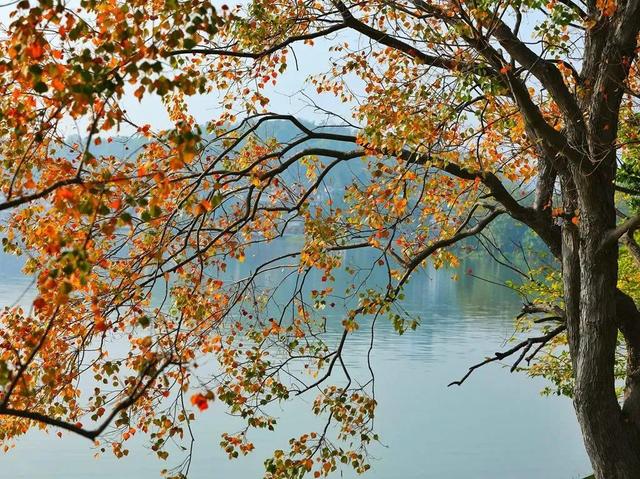 肇庆绝美“冬装”惊艳上线！错过了，就得再等一年……休闲区蓝鸢梦想 - Www.slyday.coM