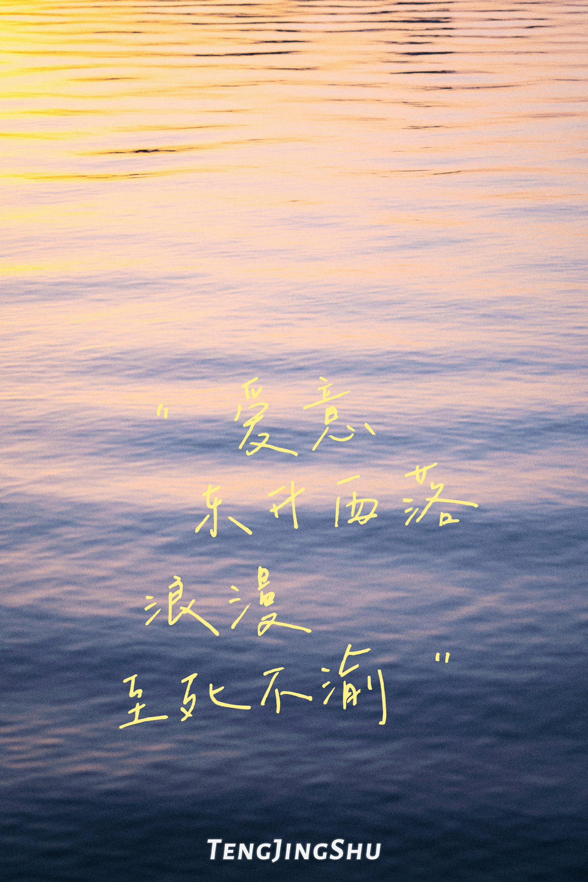 "爱意东升西落,浪漫至死不渝" @藤井墅 7015__财经头条