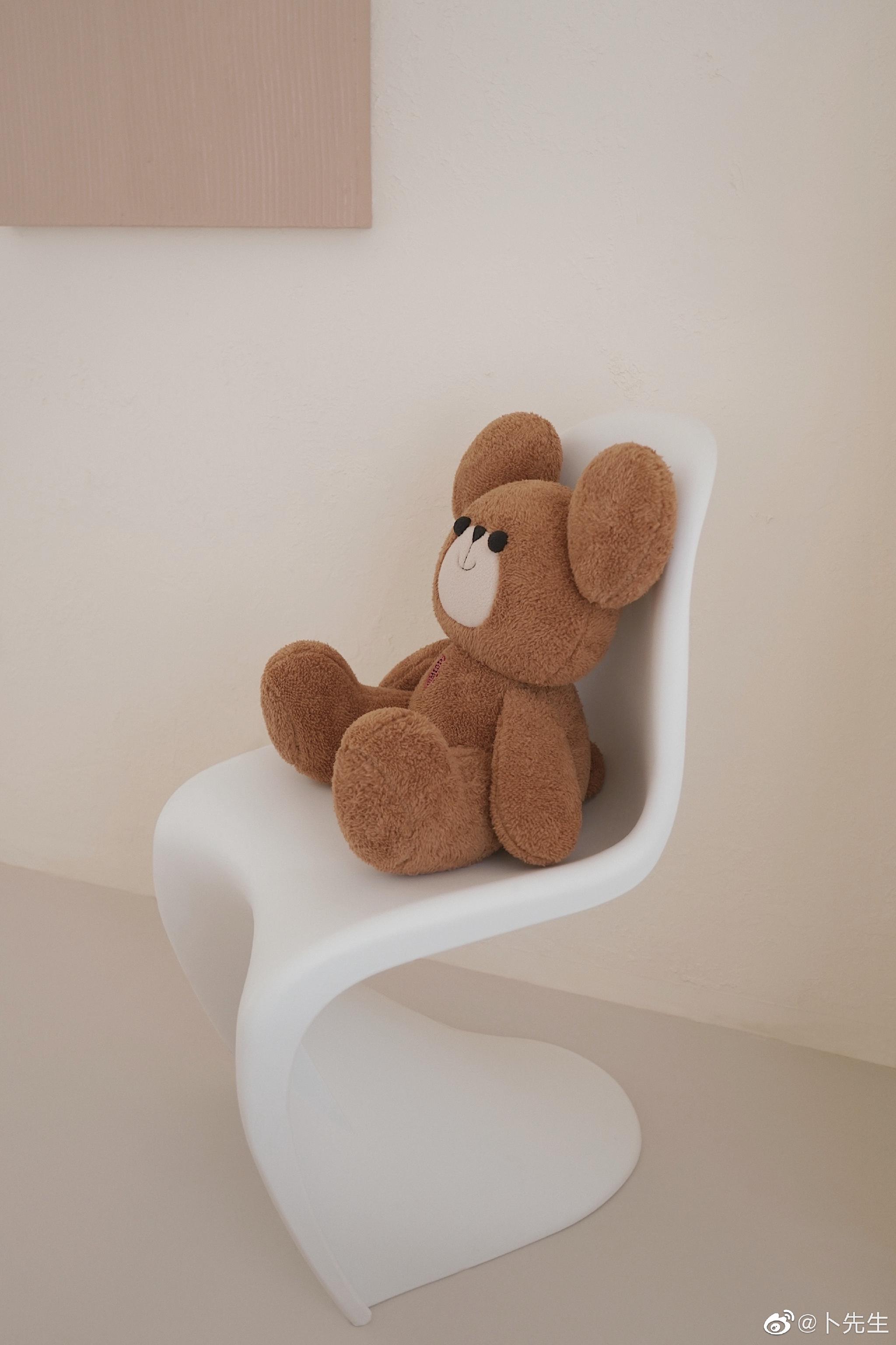 大耳朵熊布偶|拍照日__财经头条